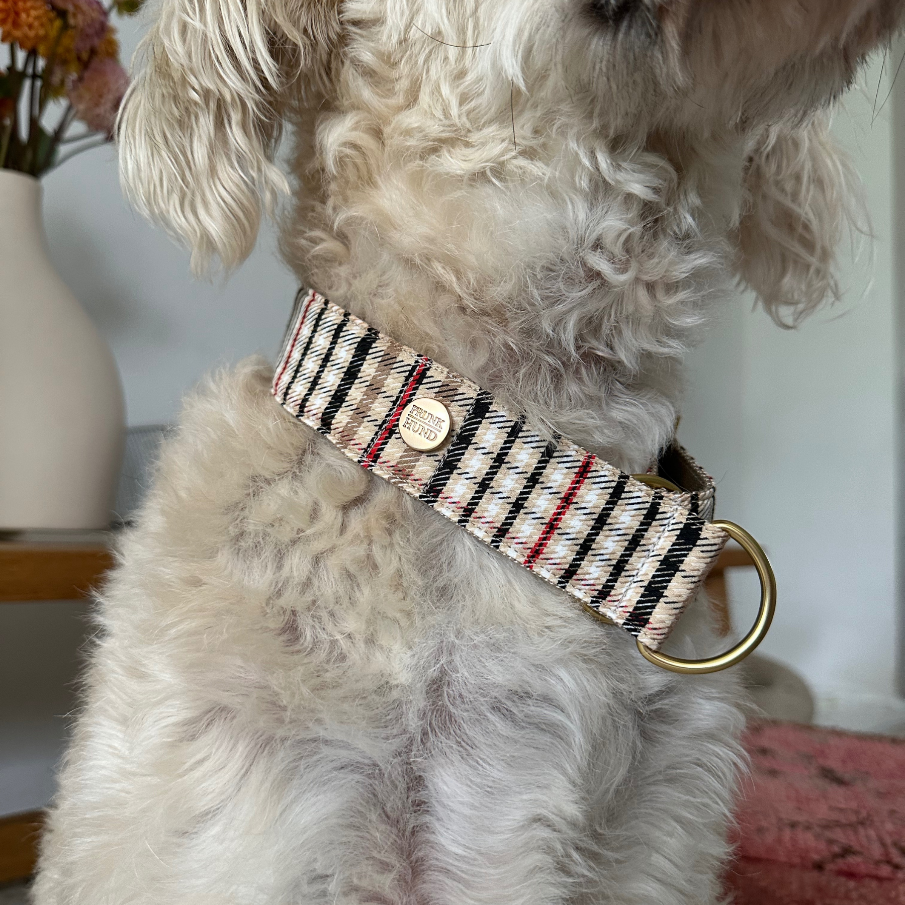 Zugstopp Halsband CLASSIC