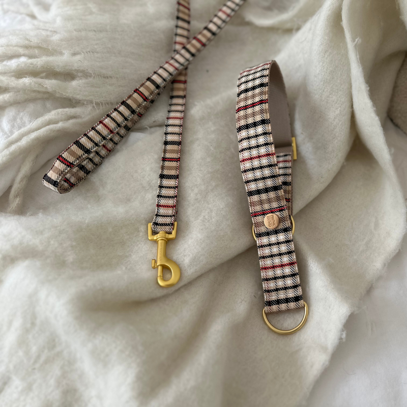 Zugstopp Halsband CLASSIC