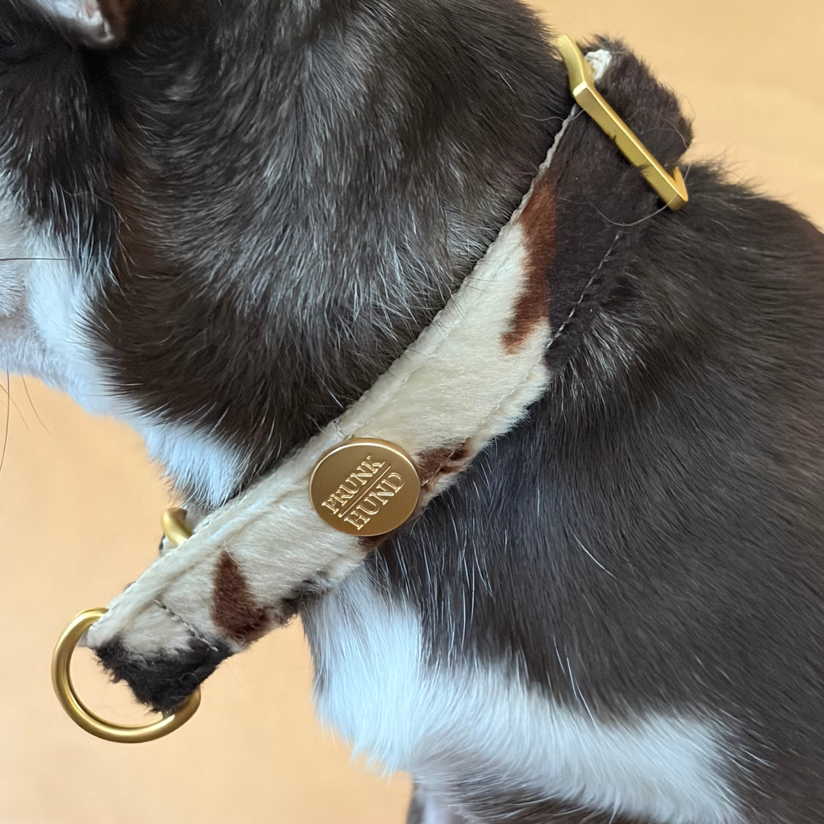 martingale collar SANTA BABY 