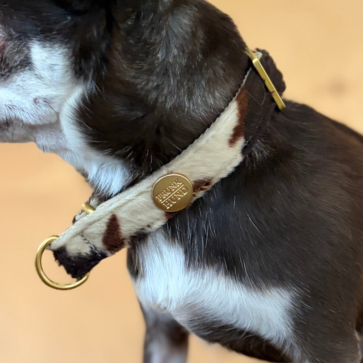 martingale collar SANTA BABY 