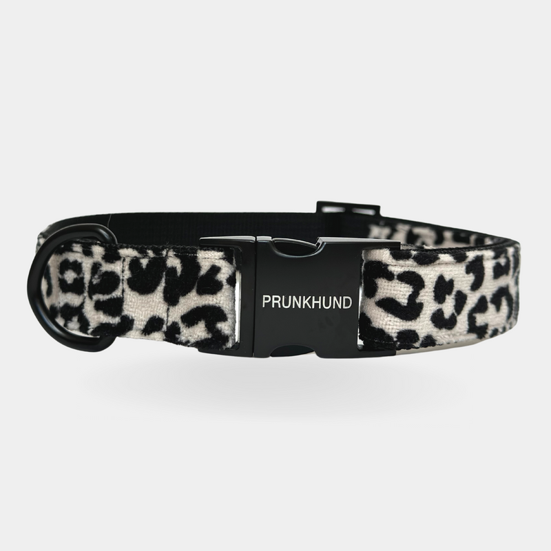 Halsband LEO
