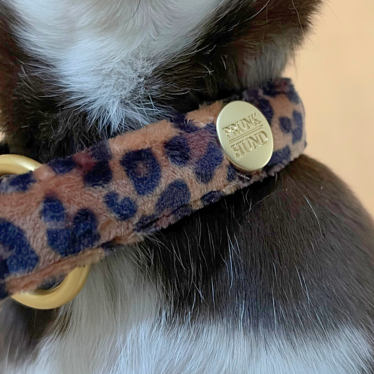 martingale collar SANTA BABY 