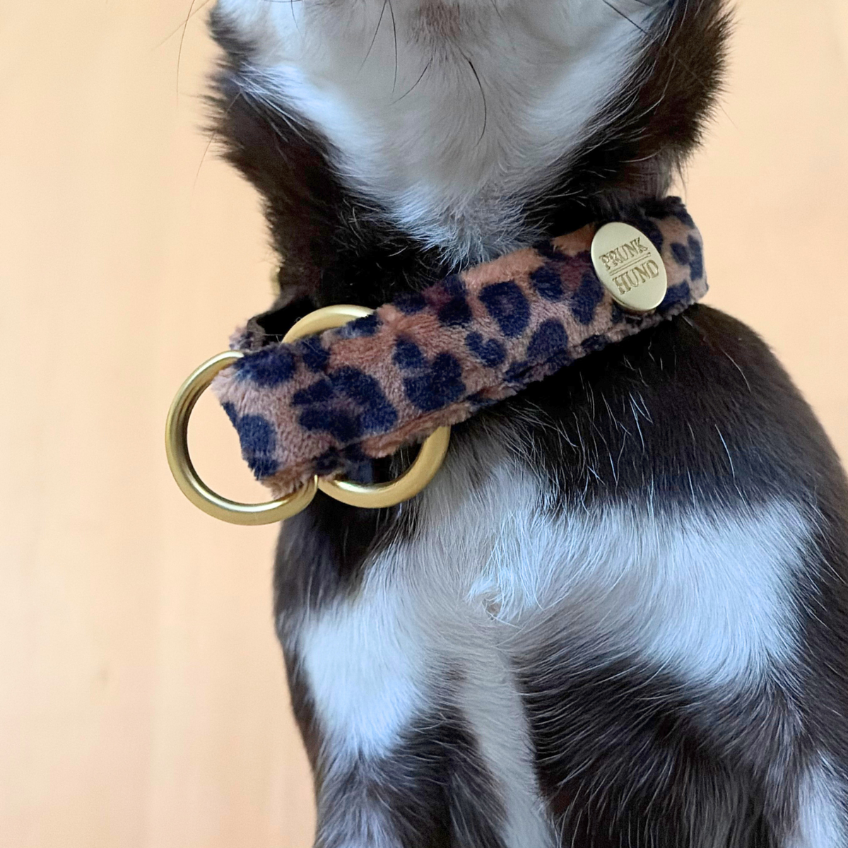 martingale collar SANTA BABY 