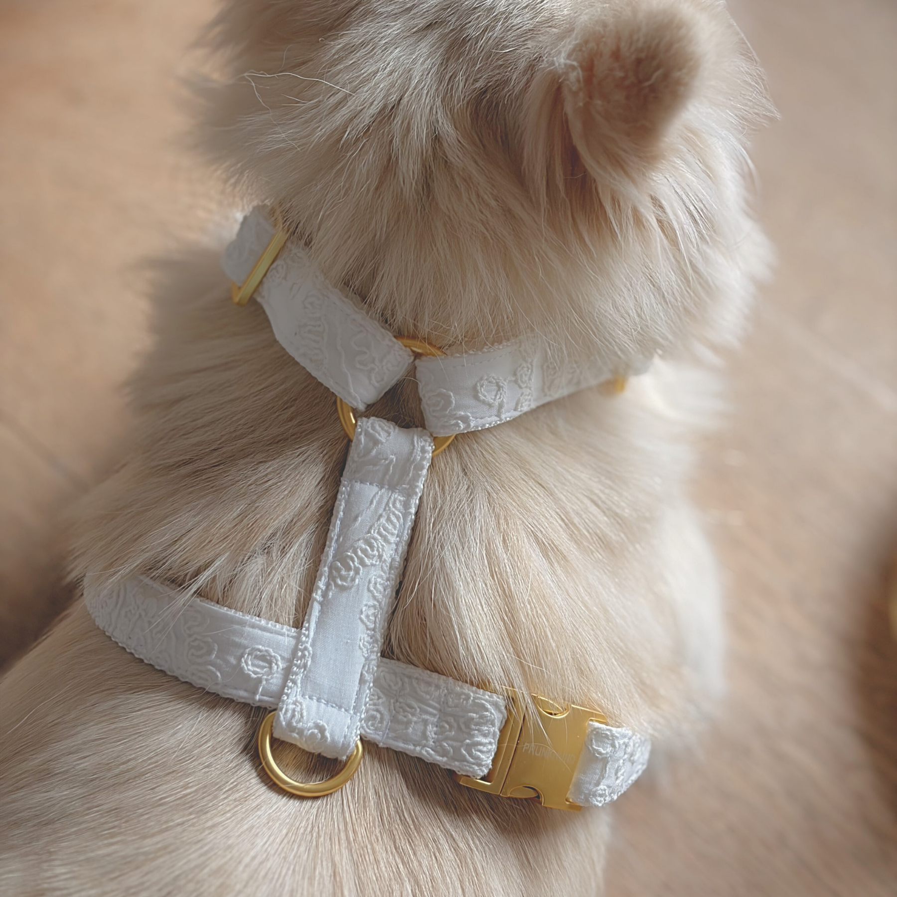 Dog harness WILD LIFE