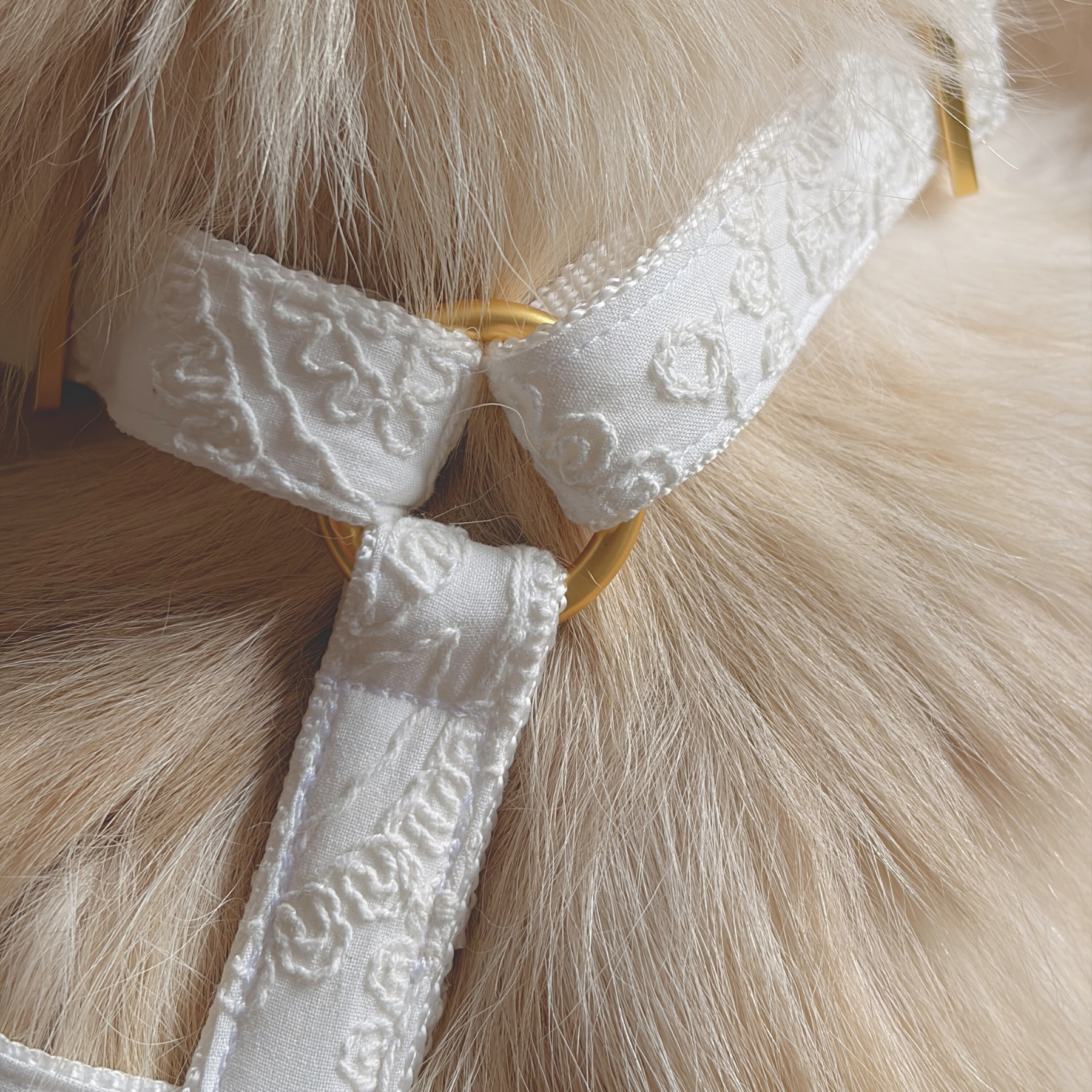 Dog harness WILD LIFE