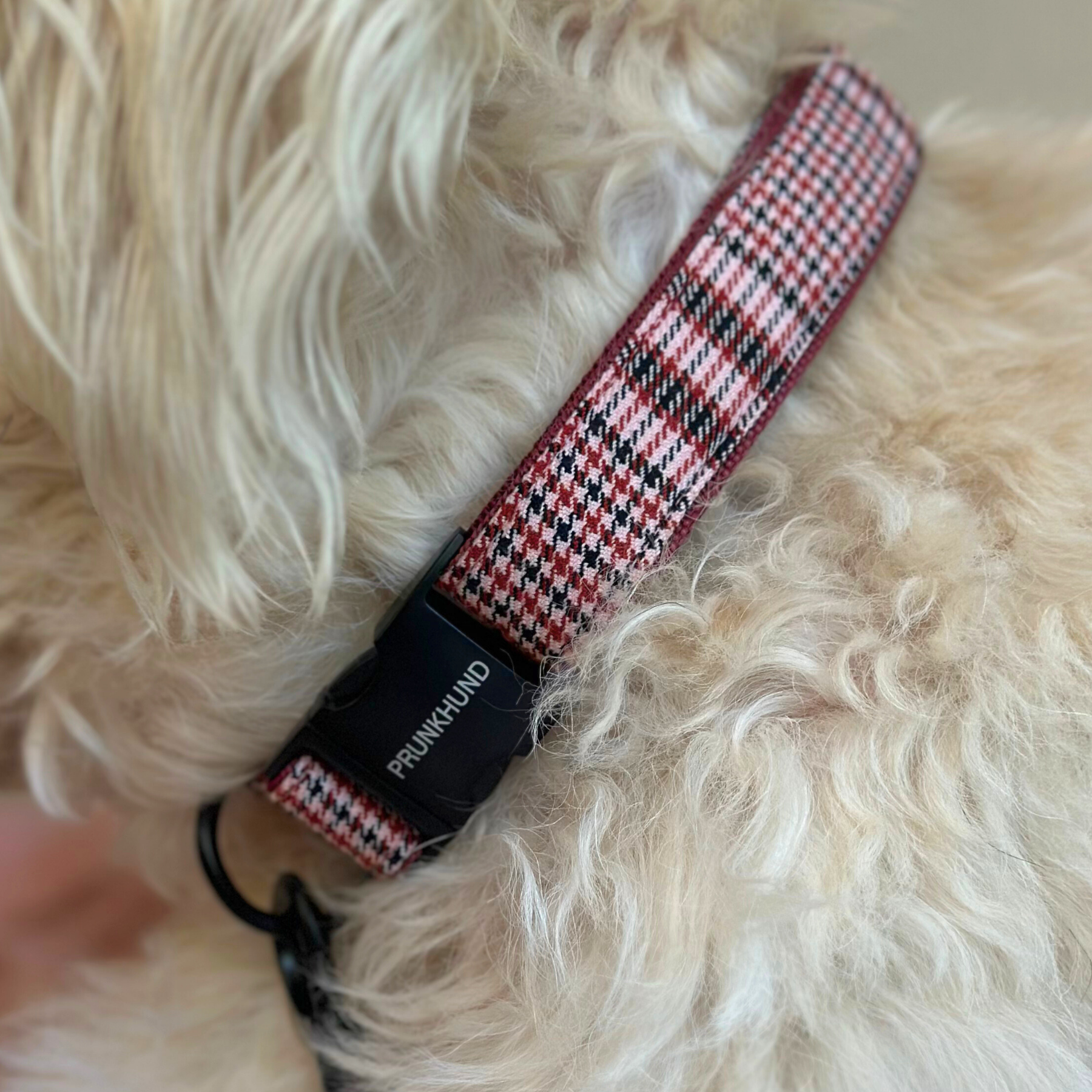 URBAN collar