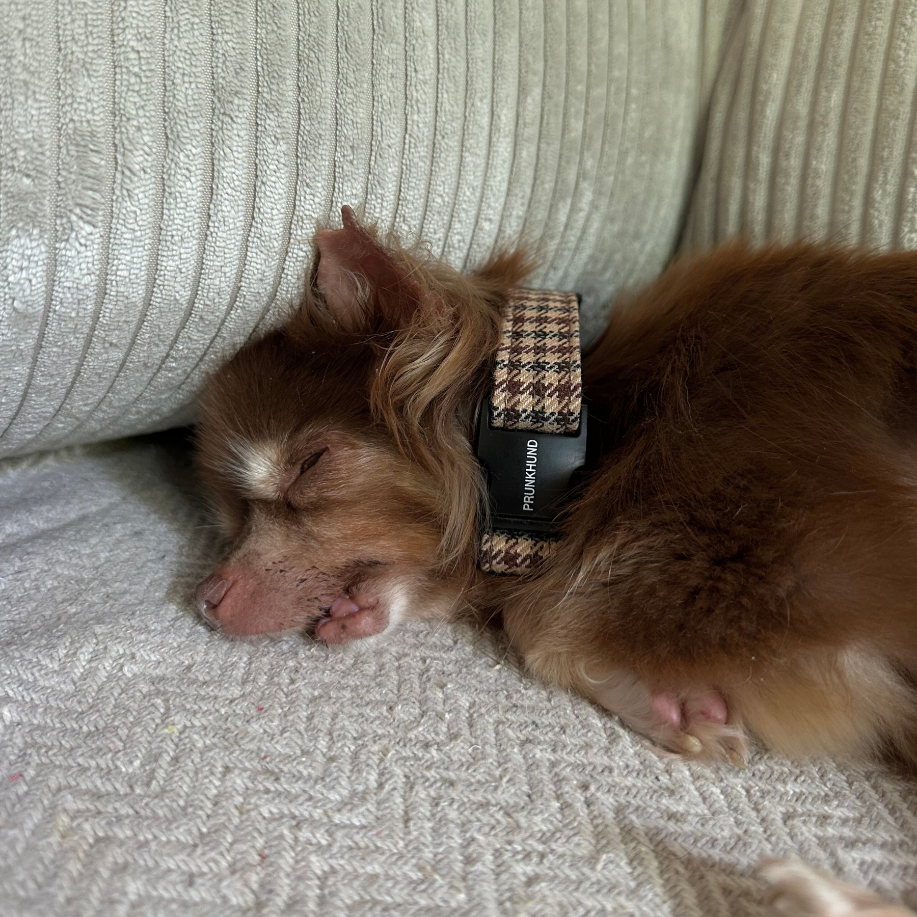 Halsband TWEED