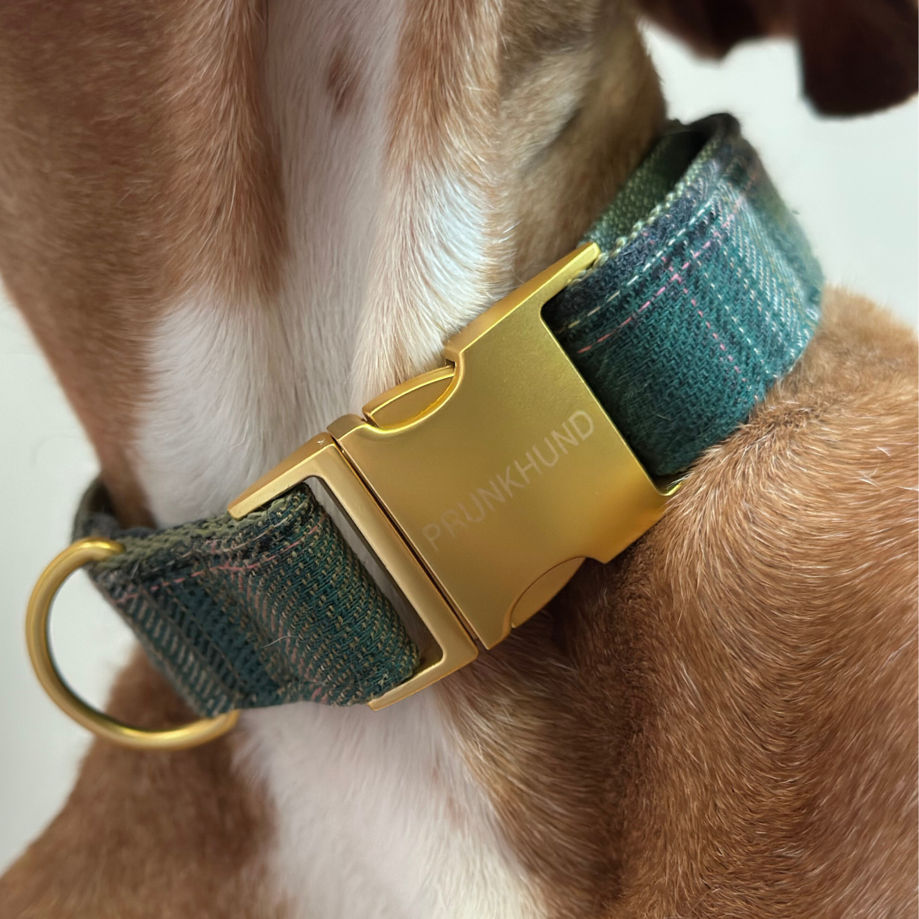WINDSOR collar