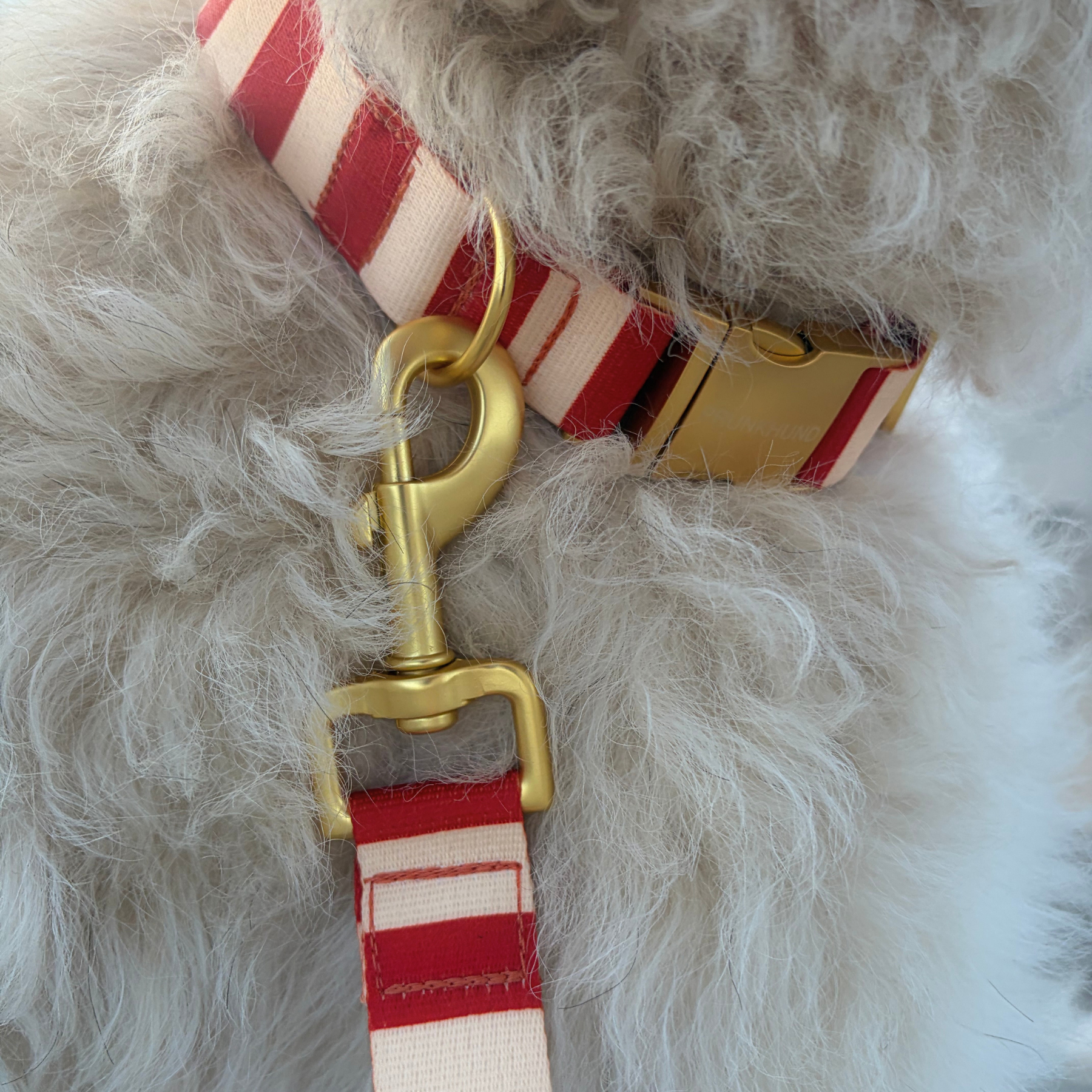Halsband LAGO