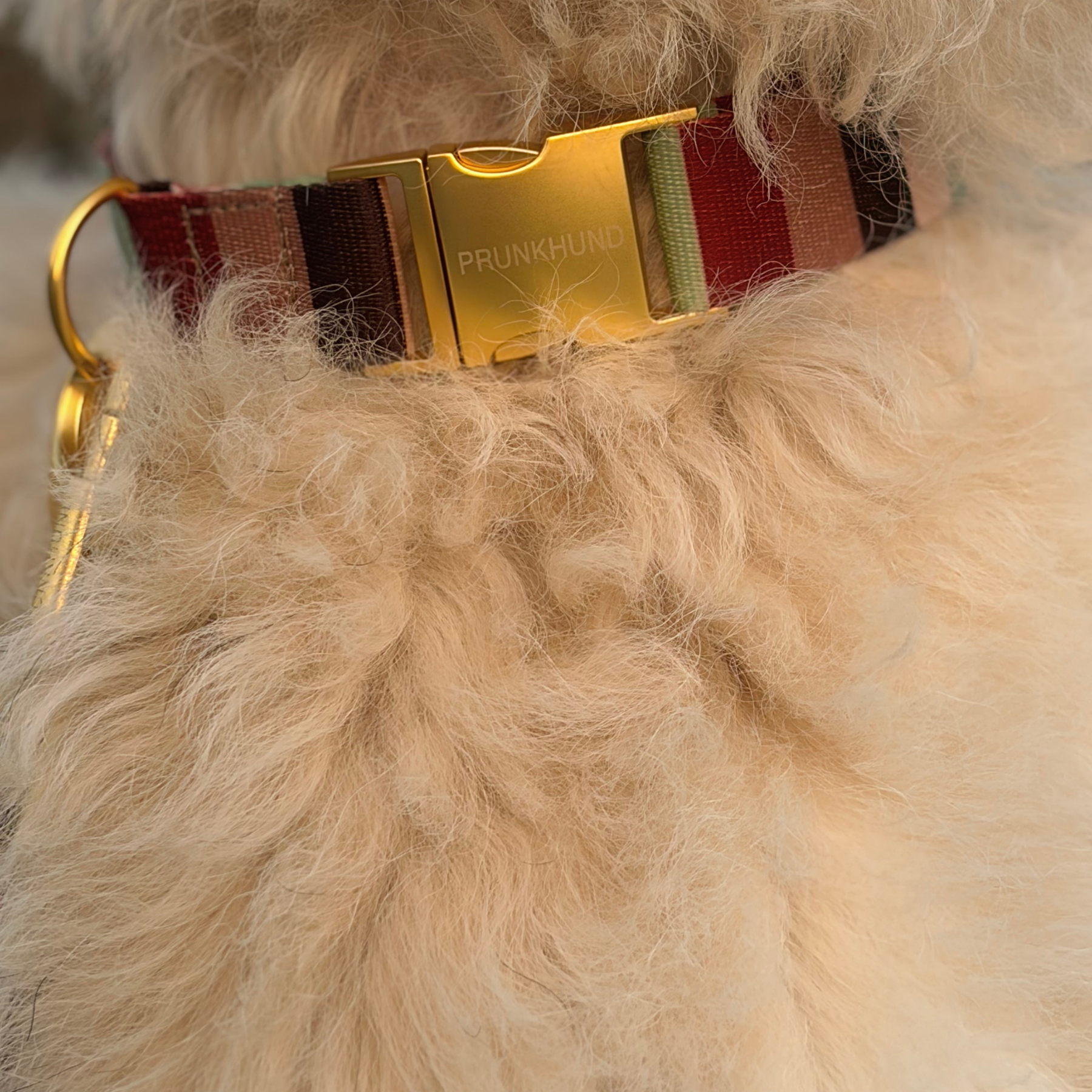 Halsband SIENA