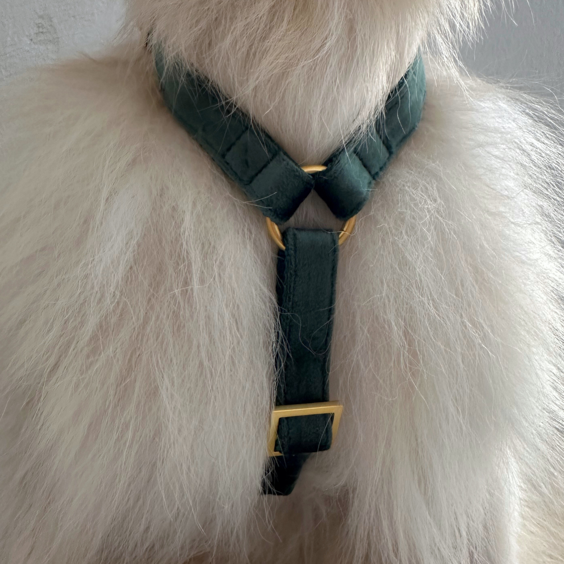 DOG HARNESS PINE