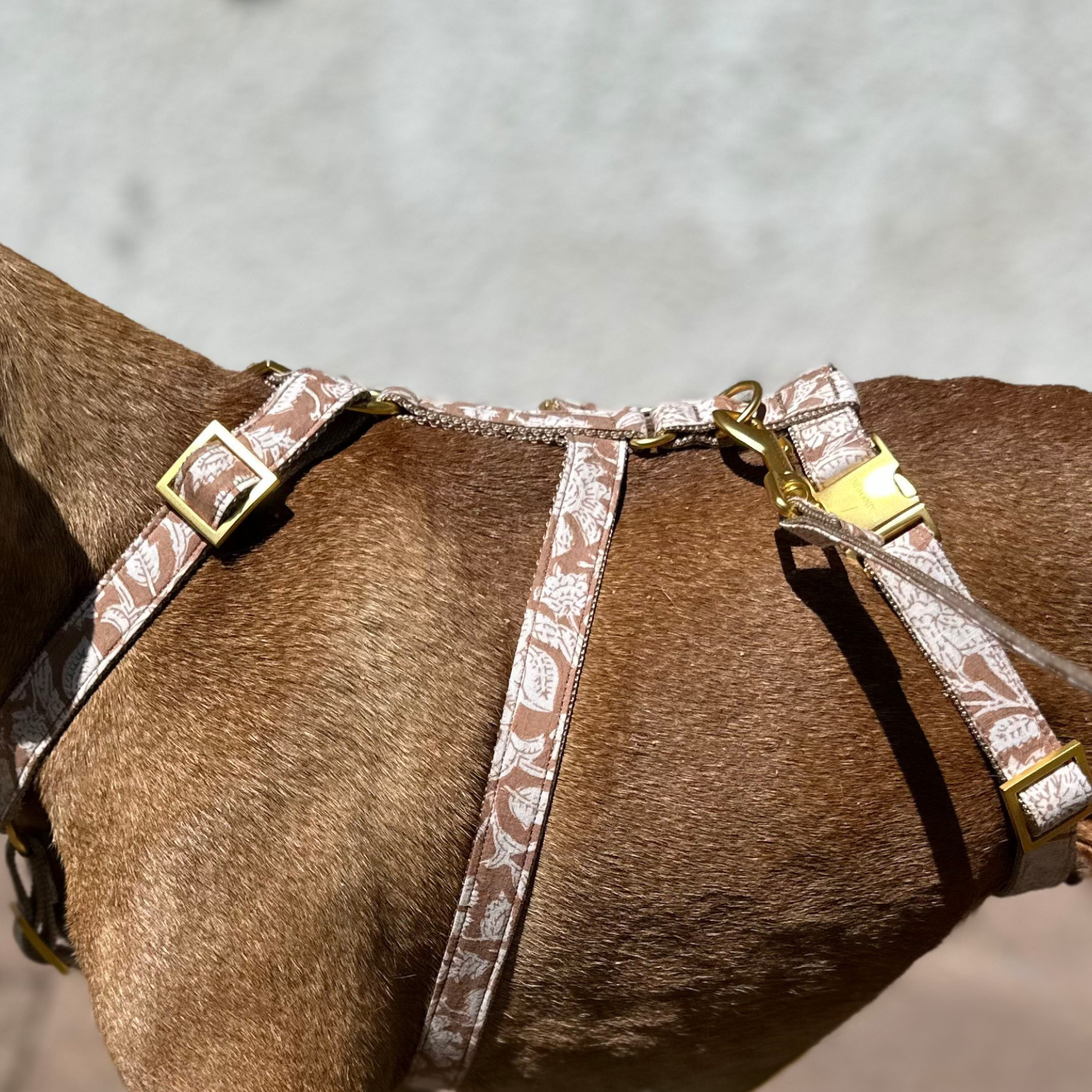 safety harness GOA sand