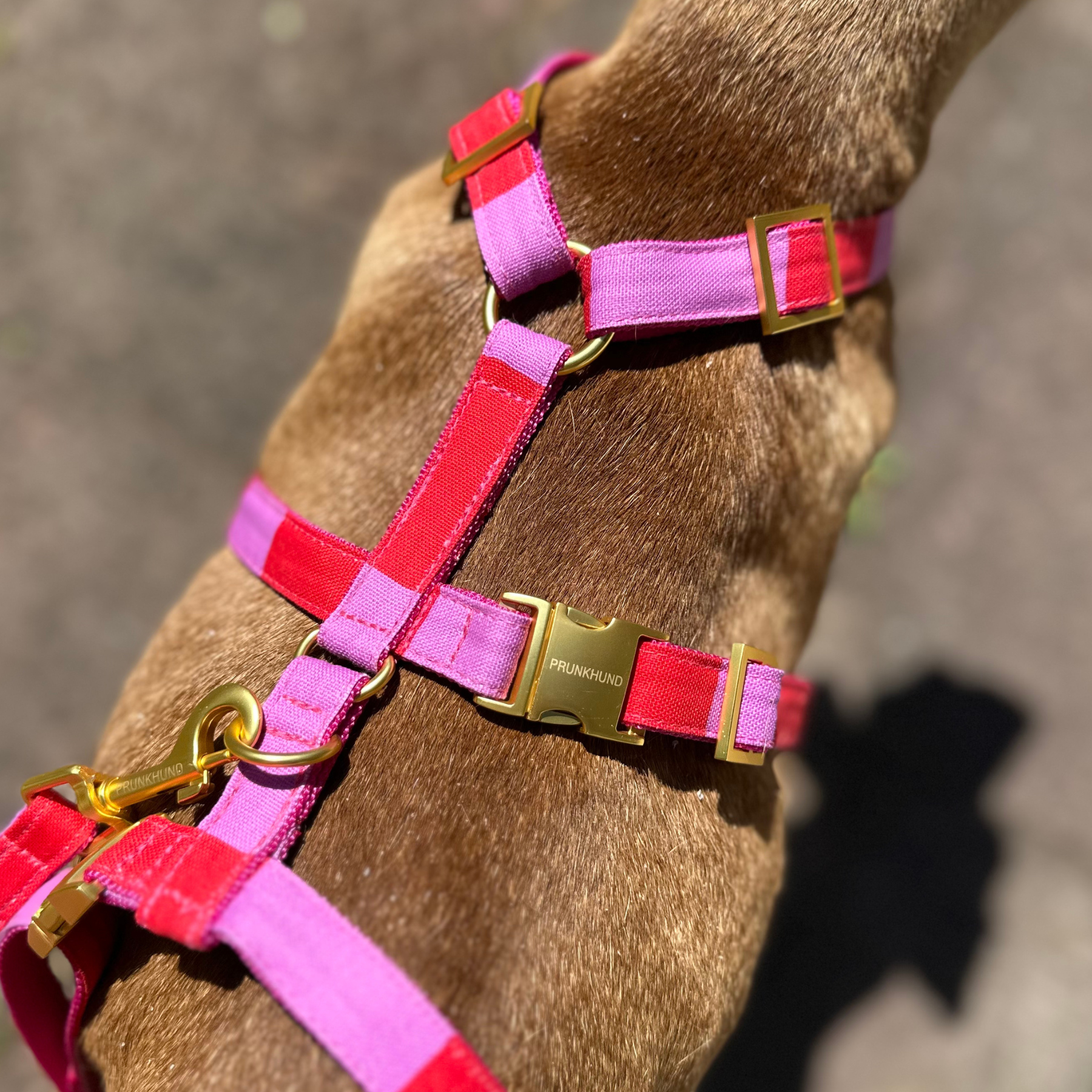 safety harness capri pink