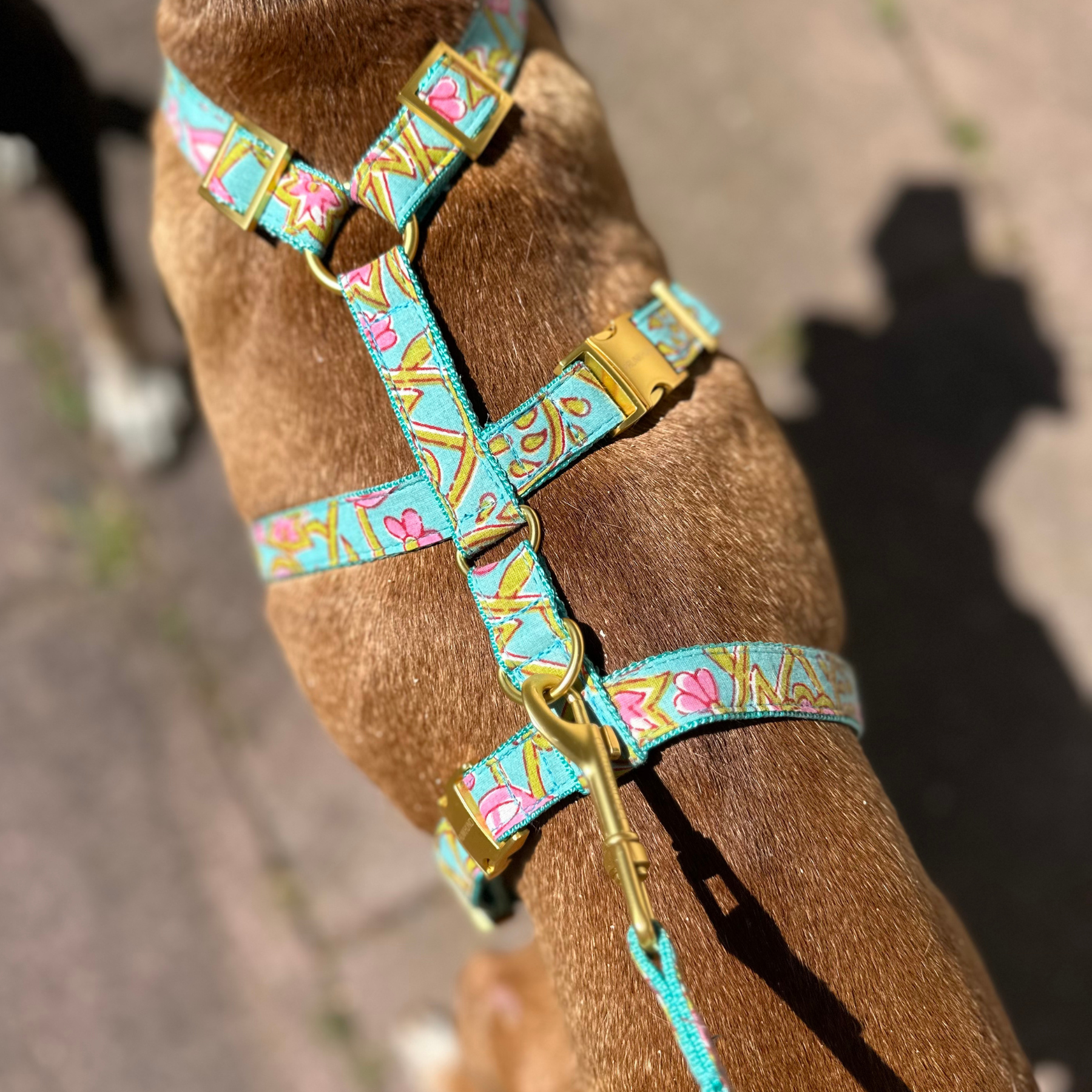 safety harness GOA aqua
