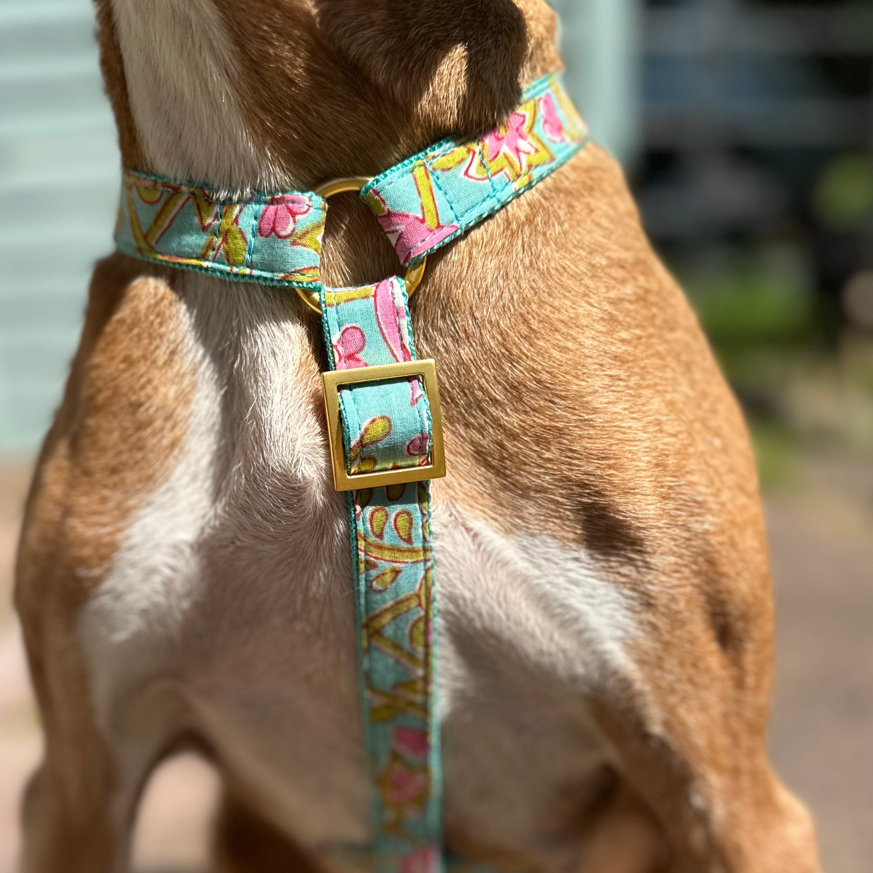 safety harness GOA aqua