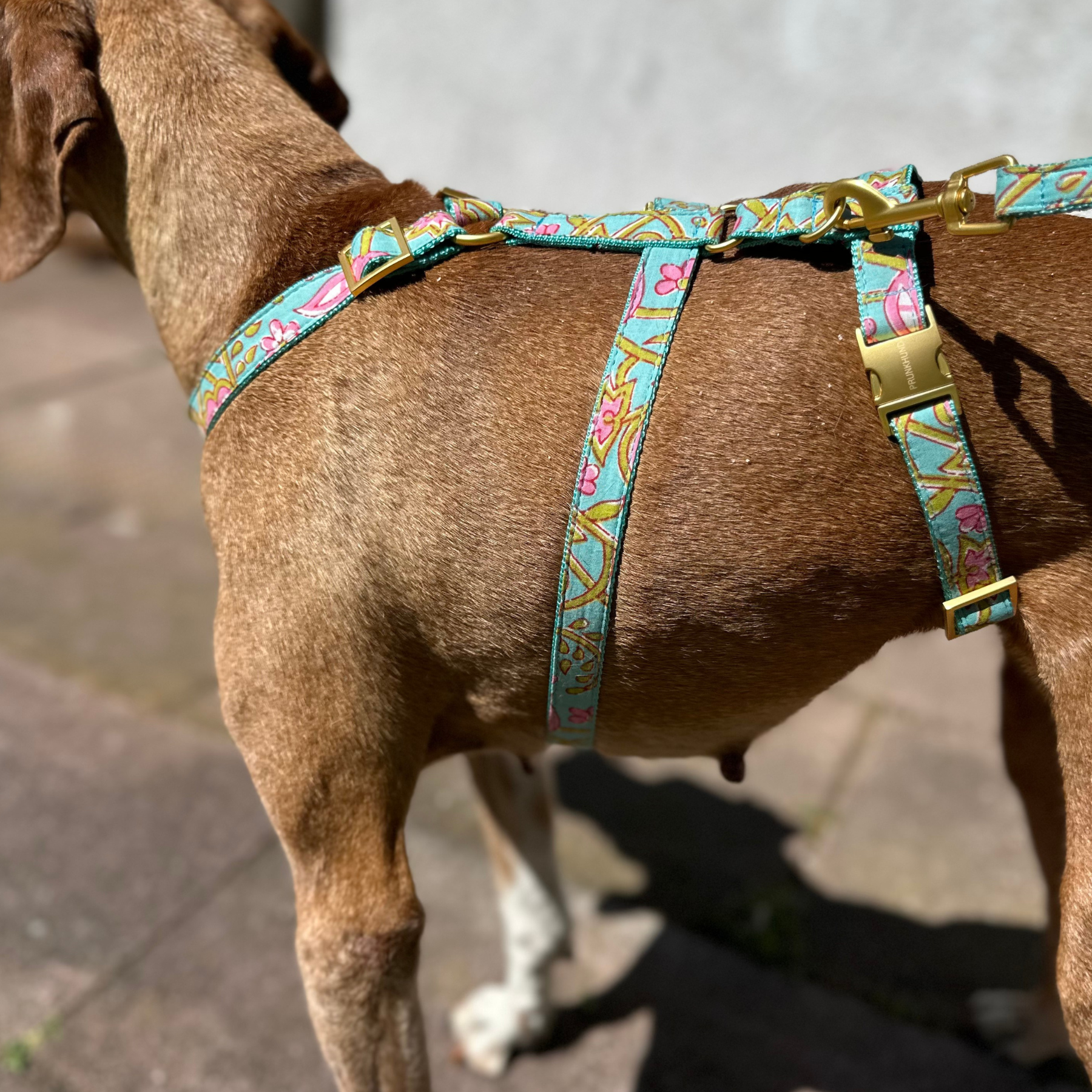 safety harness GOA aqua