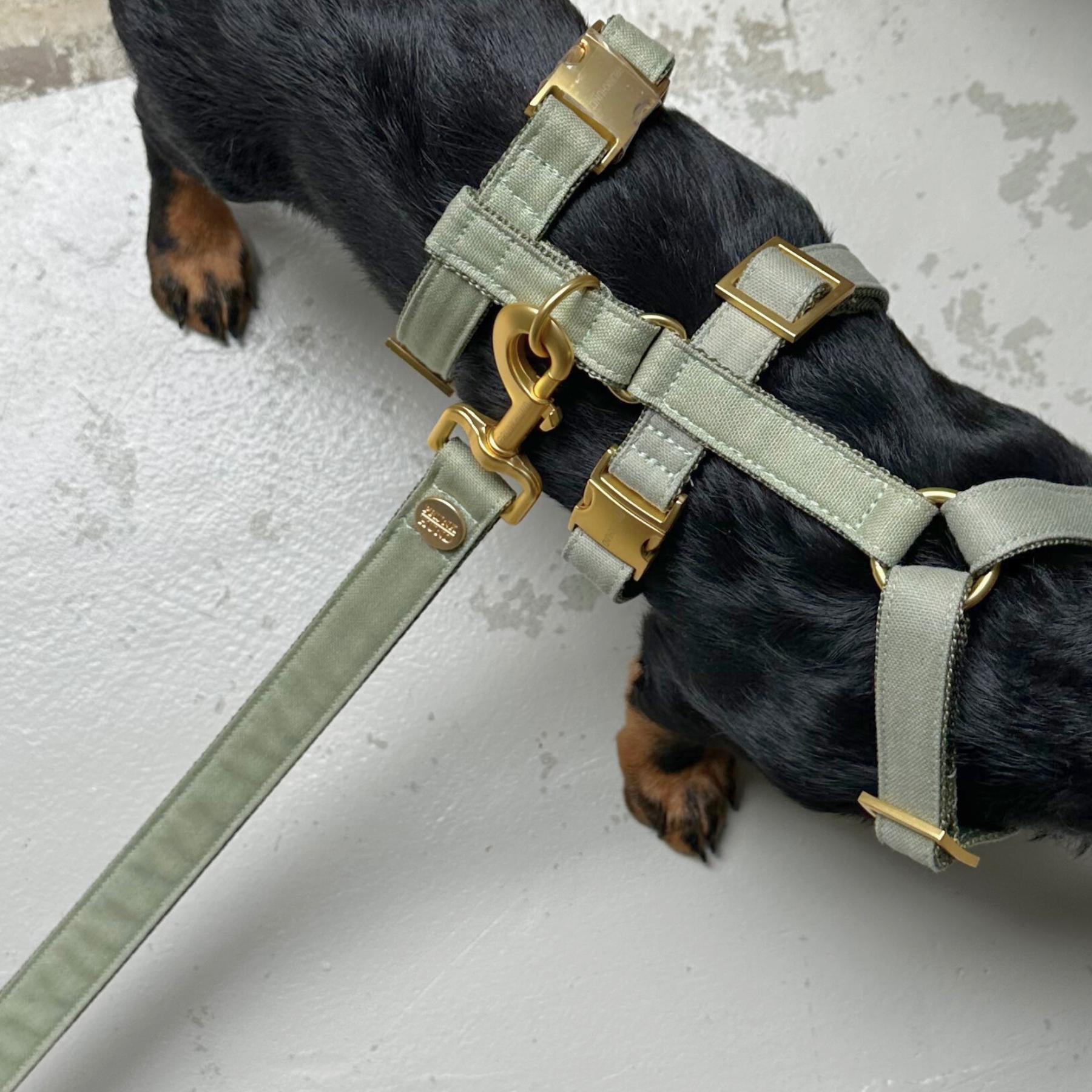 safety harness basic olive