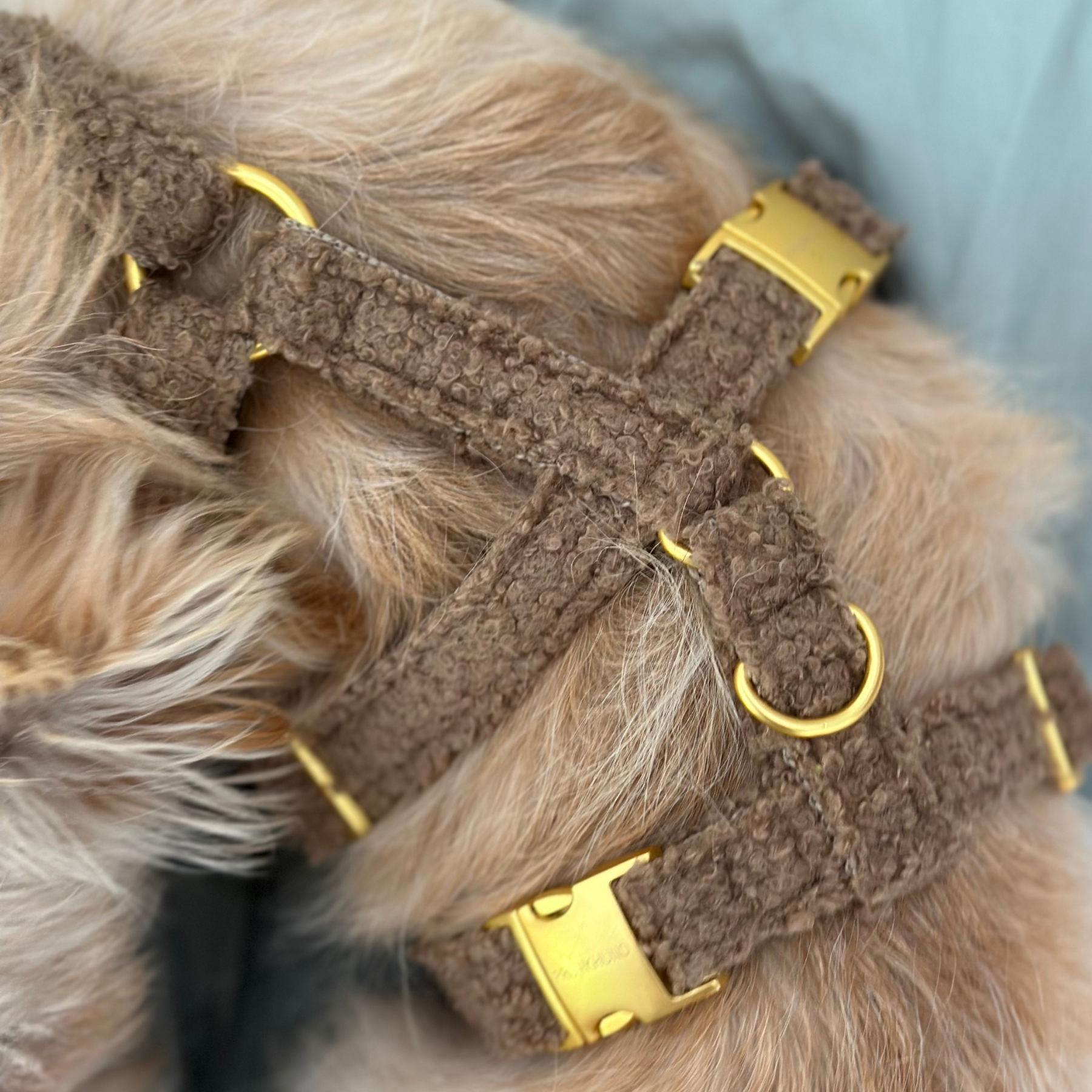 safety harness TEDDY tan