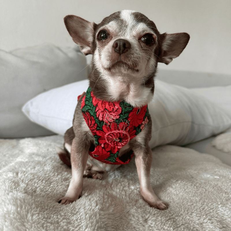BLOOM soft harness