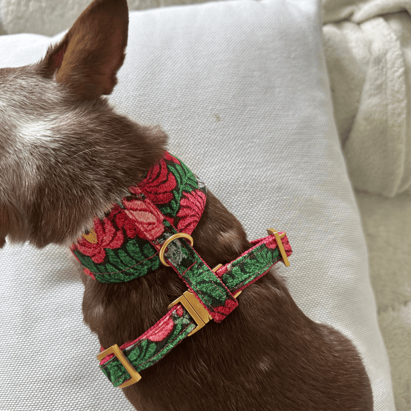 BLOOM soft harness