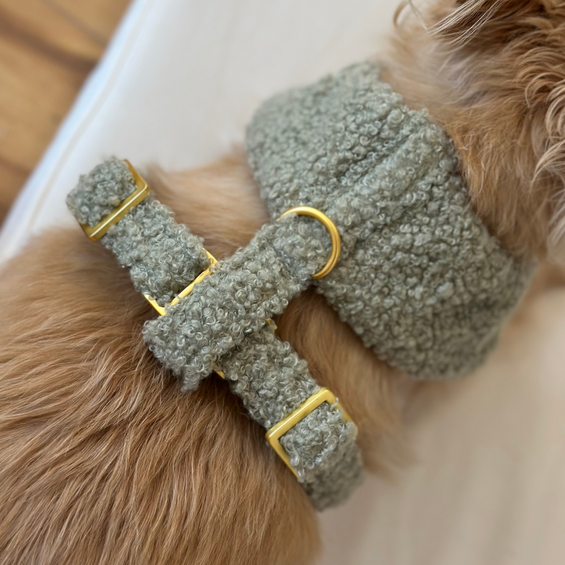 TEDDY tan soft harness