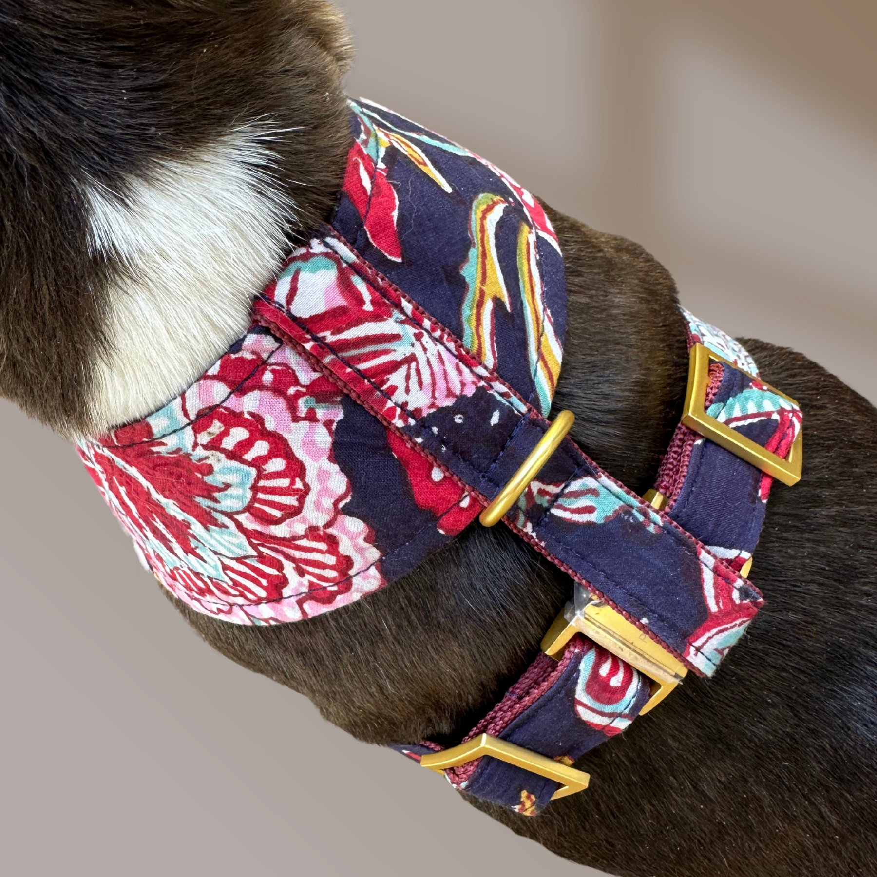GOA midnight SOFT HARNESS