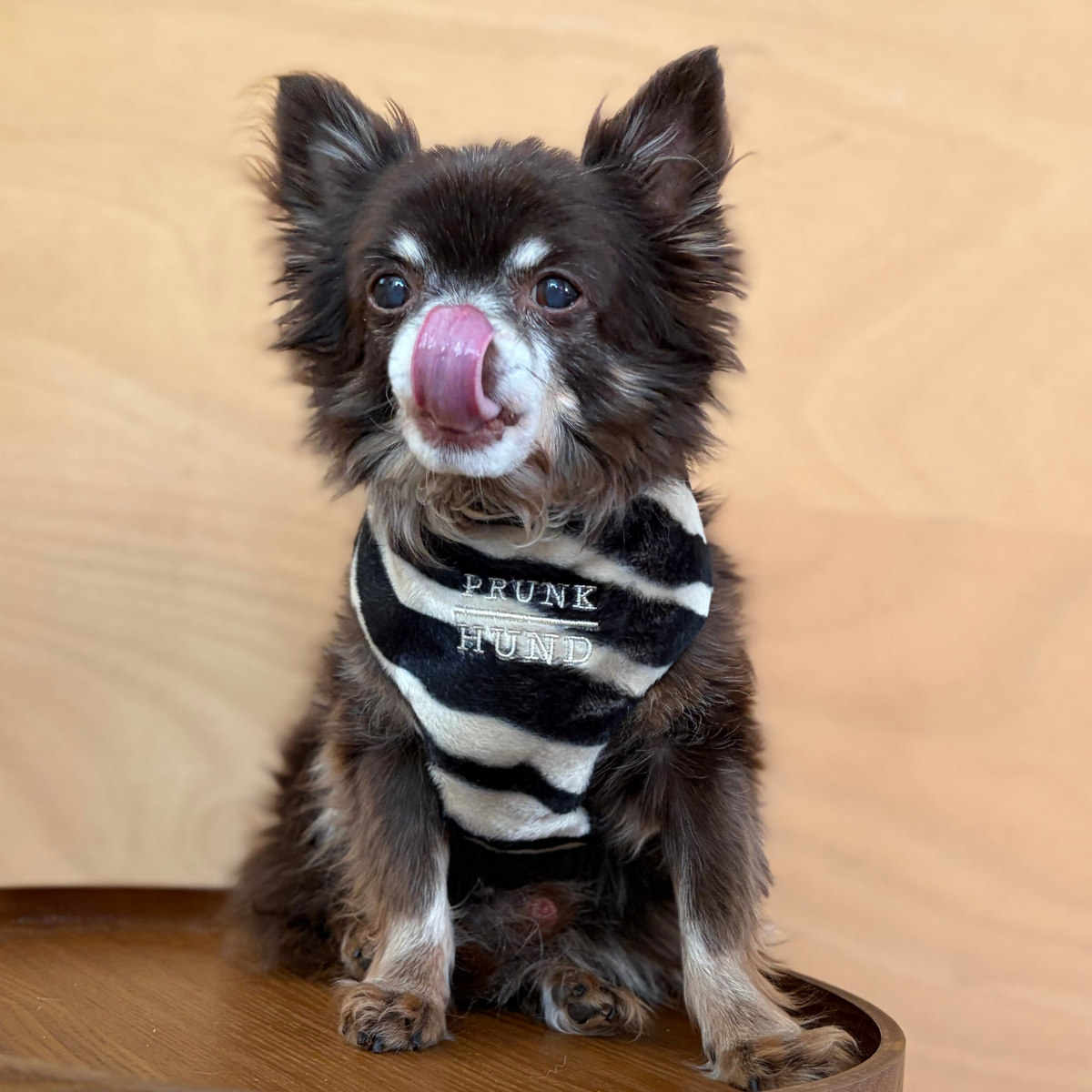 TEDDY black soft harness
