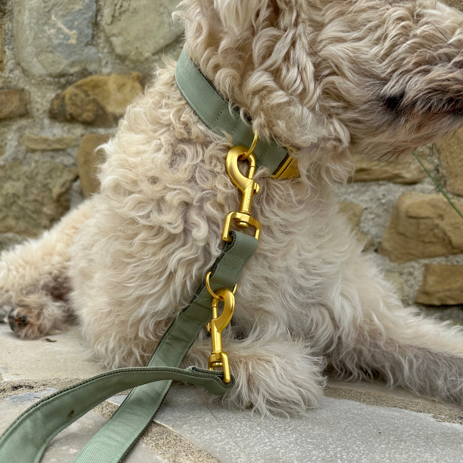 basic olive leash