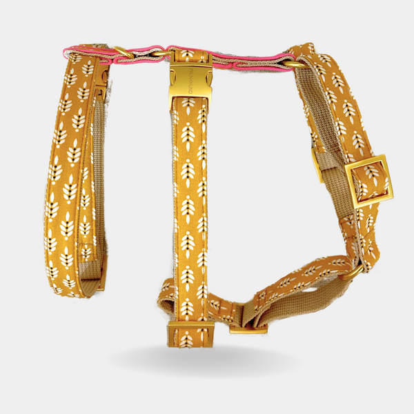 SUNNY SAFETY HARNESS