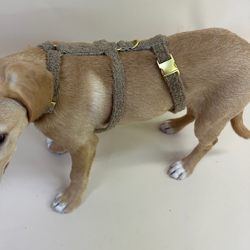 Tan dog harness discount