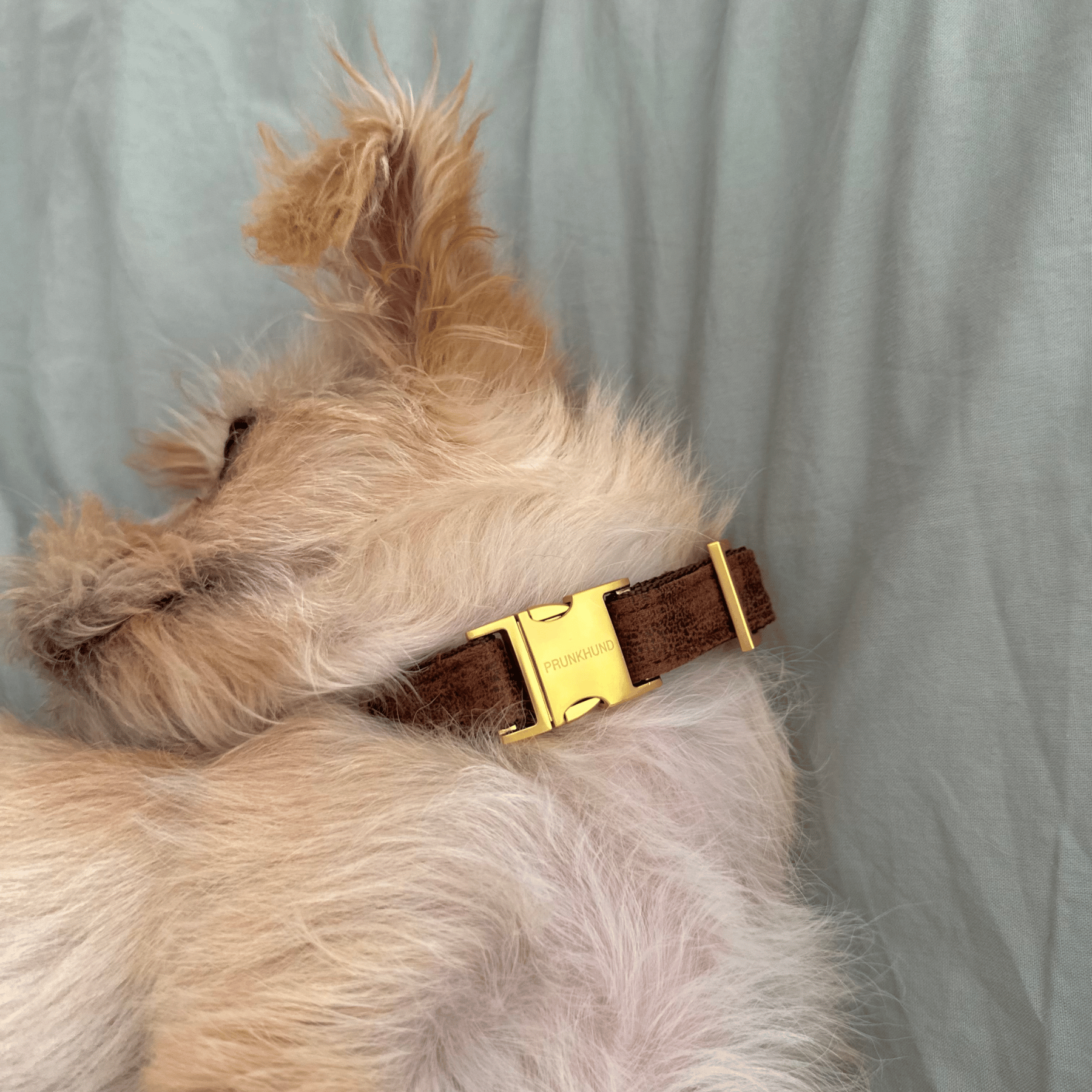 TRAVELER collar