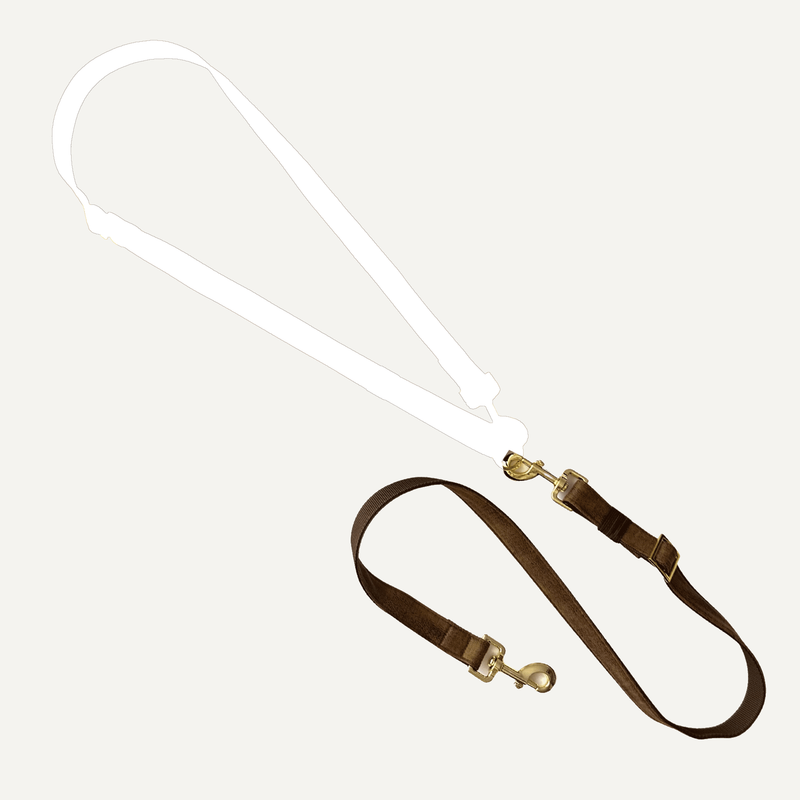 ESSENTIAL additional leash TRAVELER