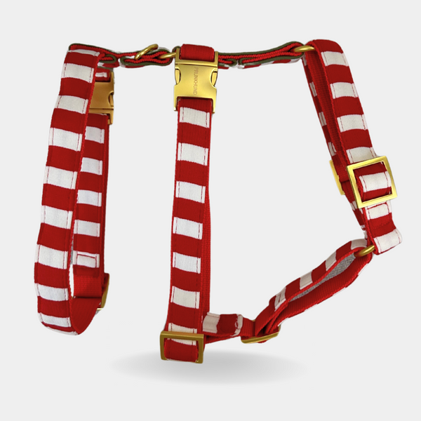 WALLY SAFETY HARNESS