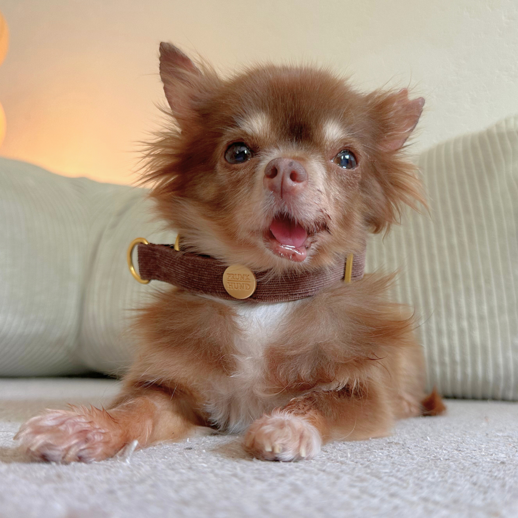 basic tan martingale