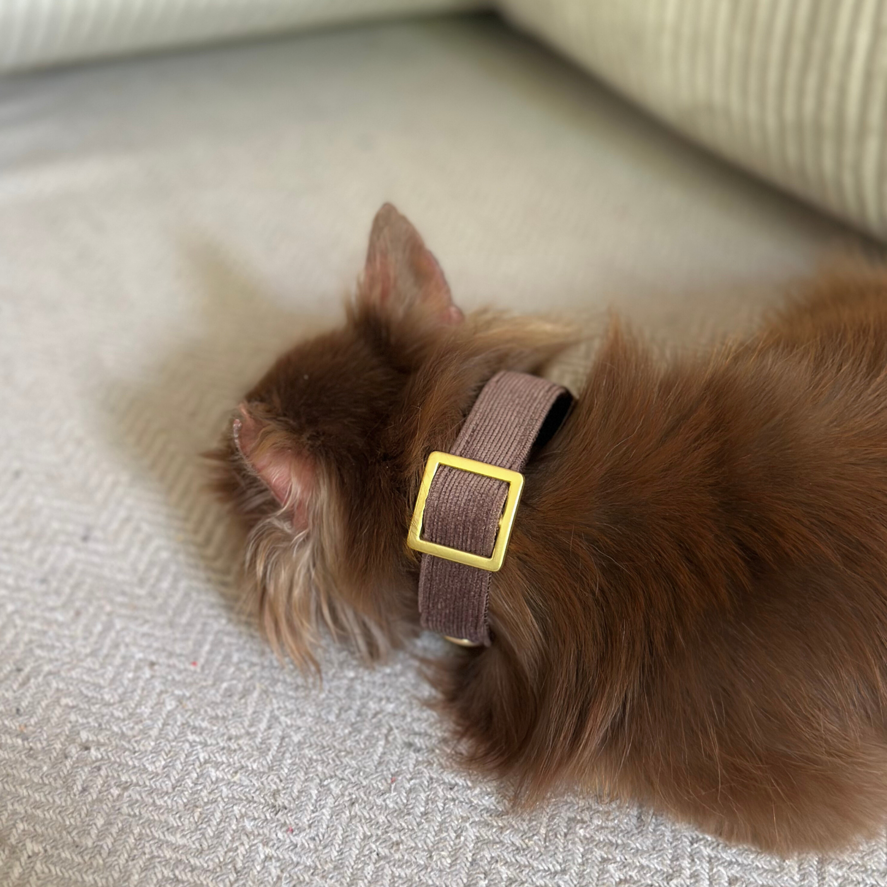 basic tan martingale