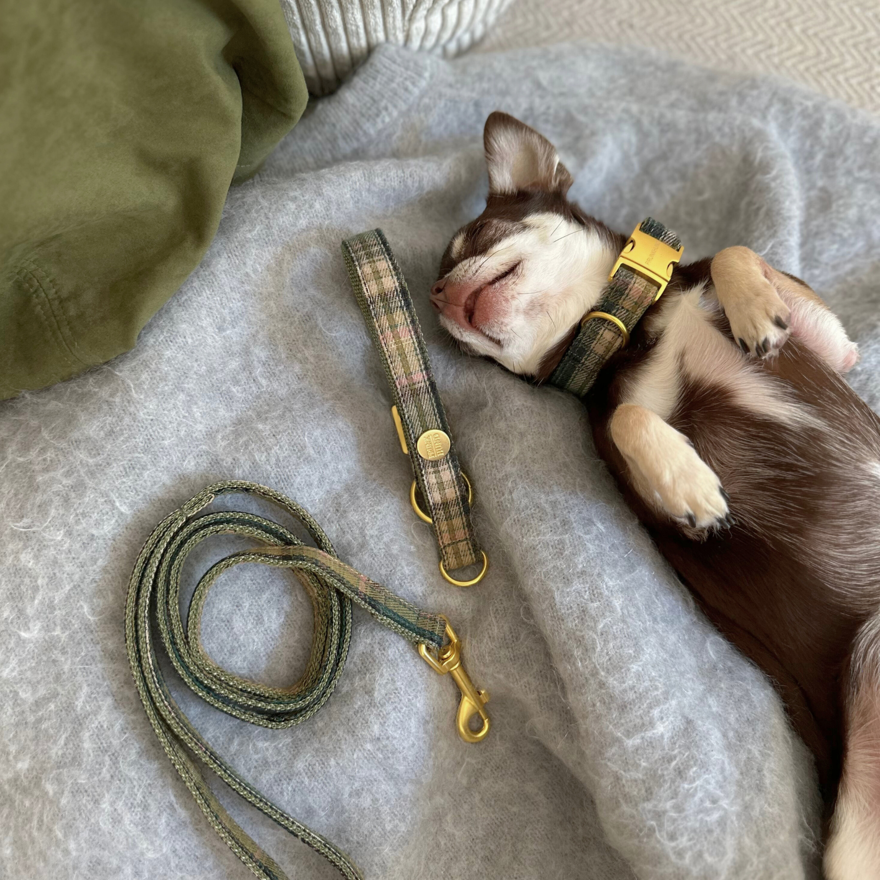 basic tan martingale