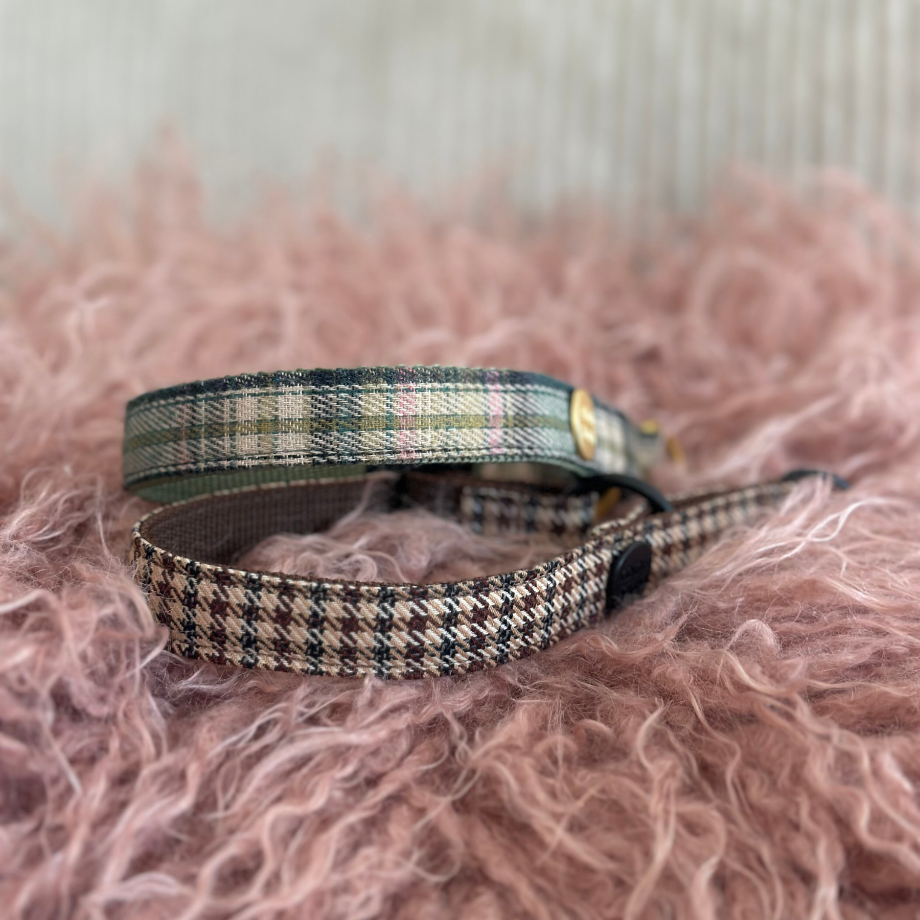 Zugstopp Halsband TARTAN