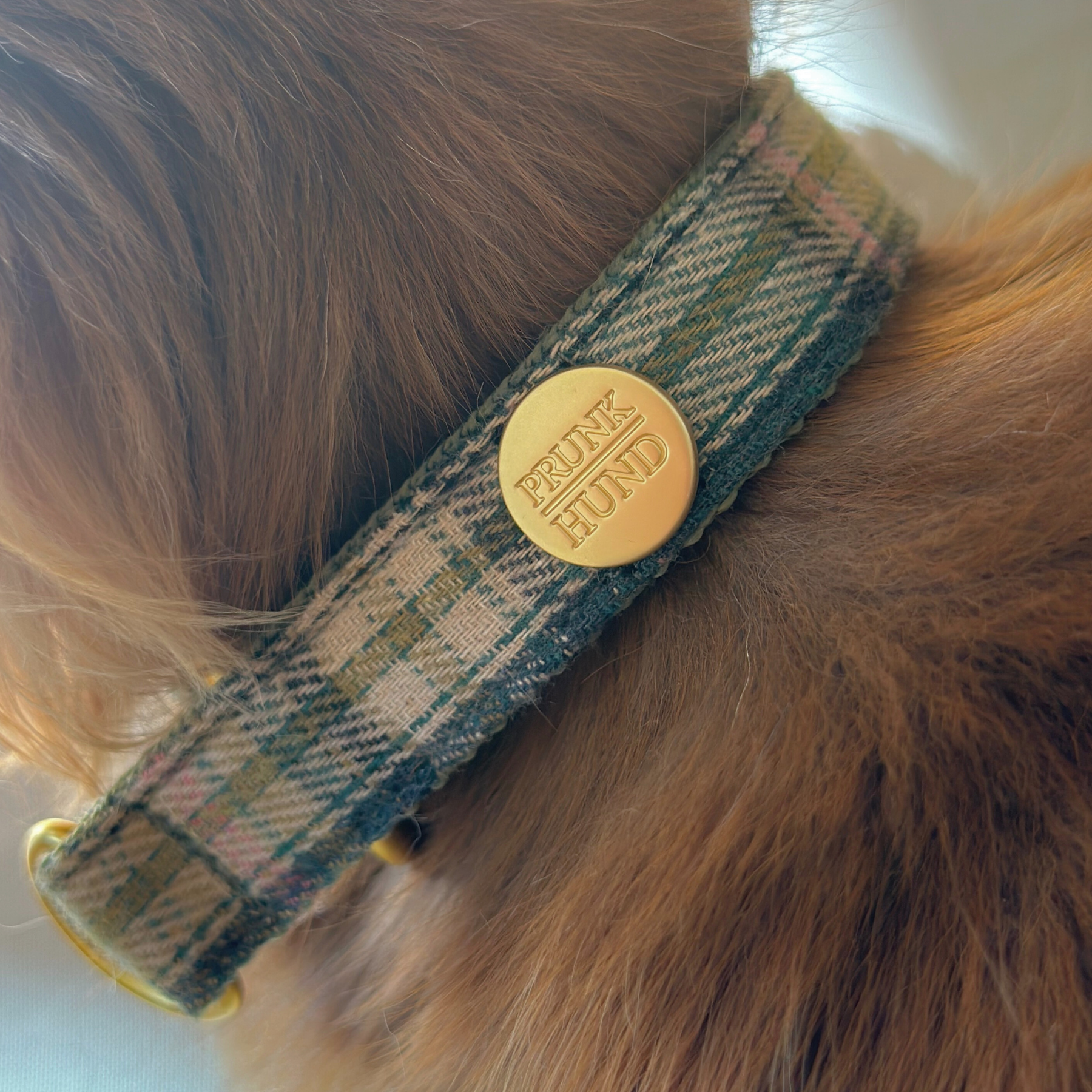 Zugstopp Halsband TARTAN