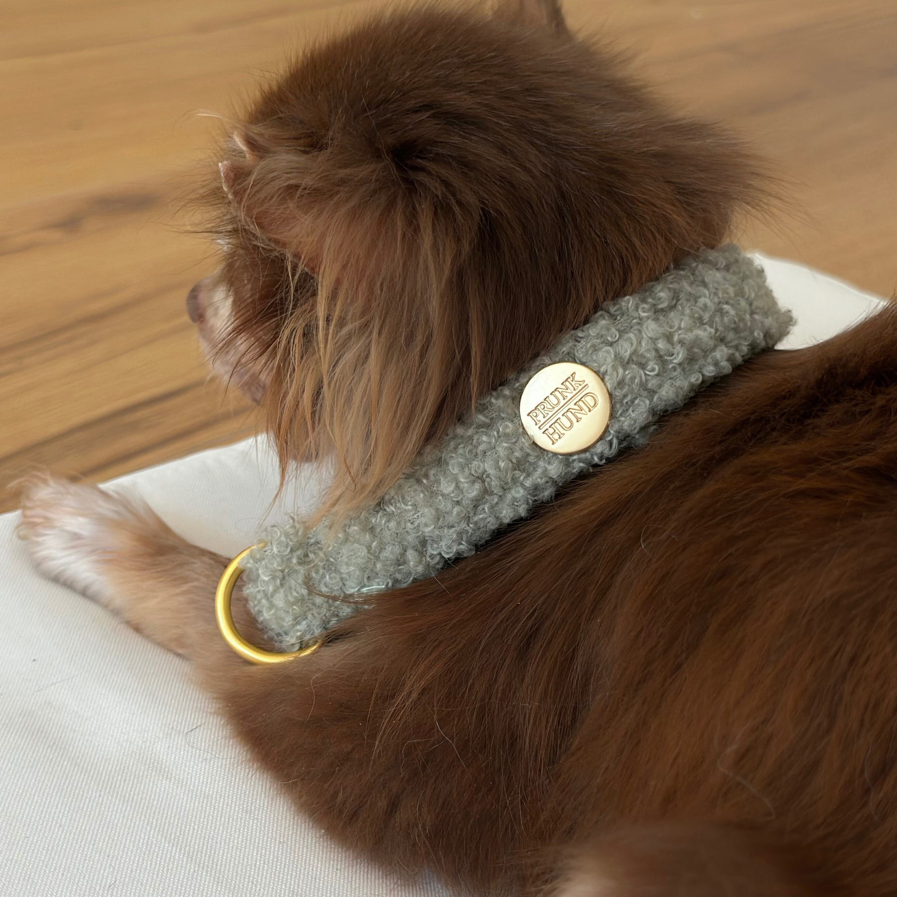 TEDDY tan marginale collar