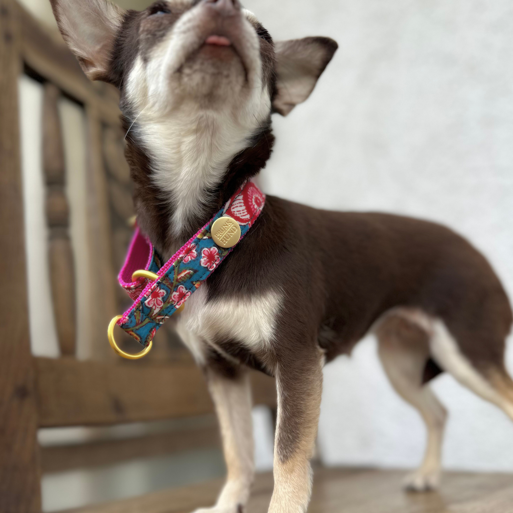 PINE collar
