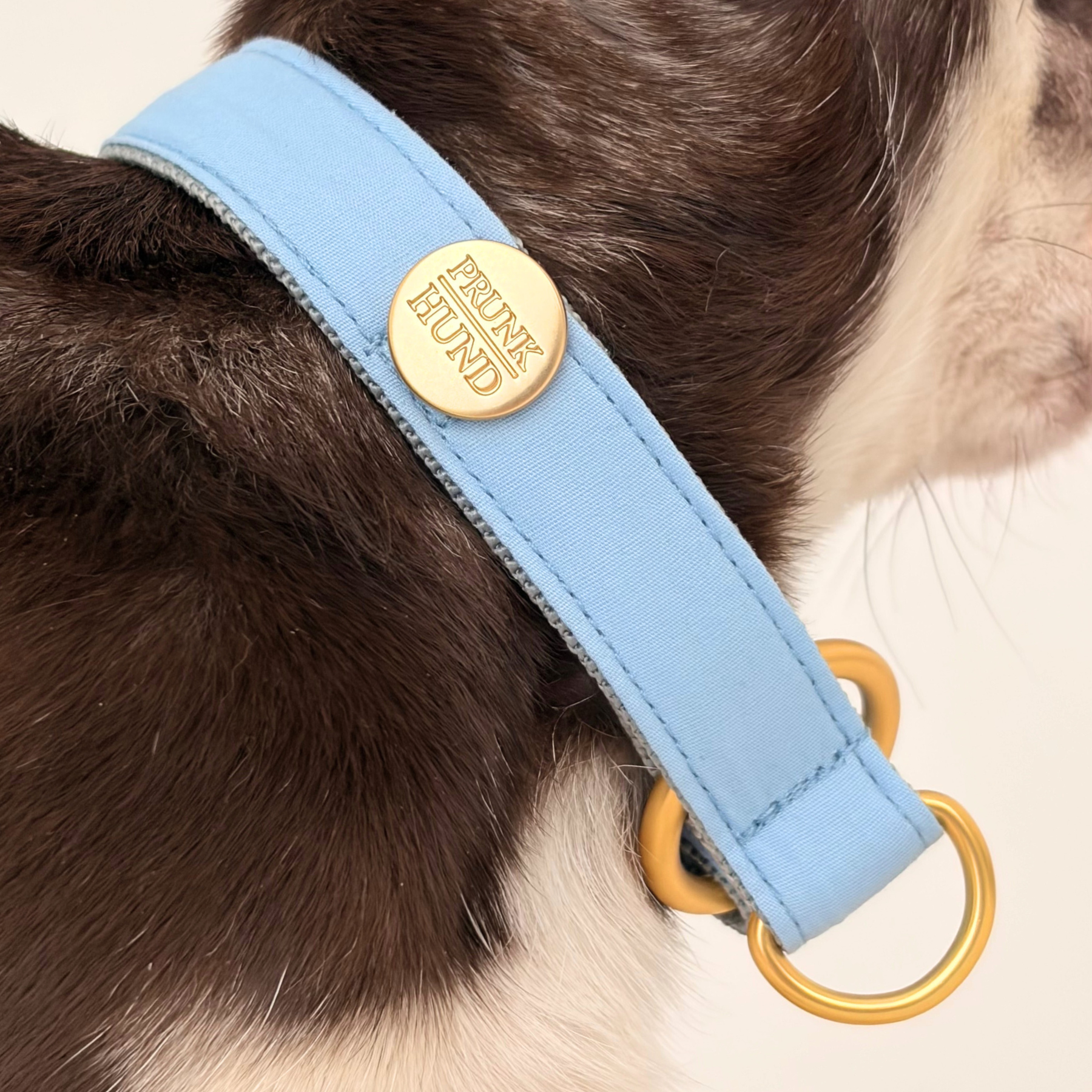 martingale collar WILD LIFE