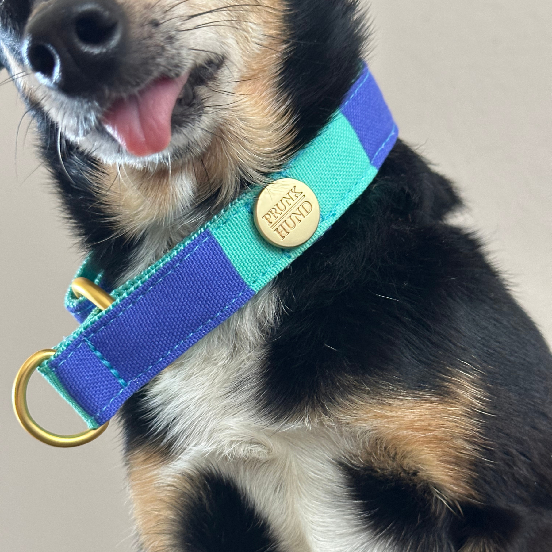 Zugstopp Halsband CAPRI mint