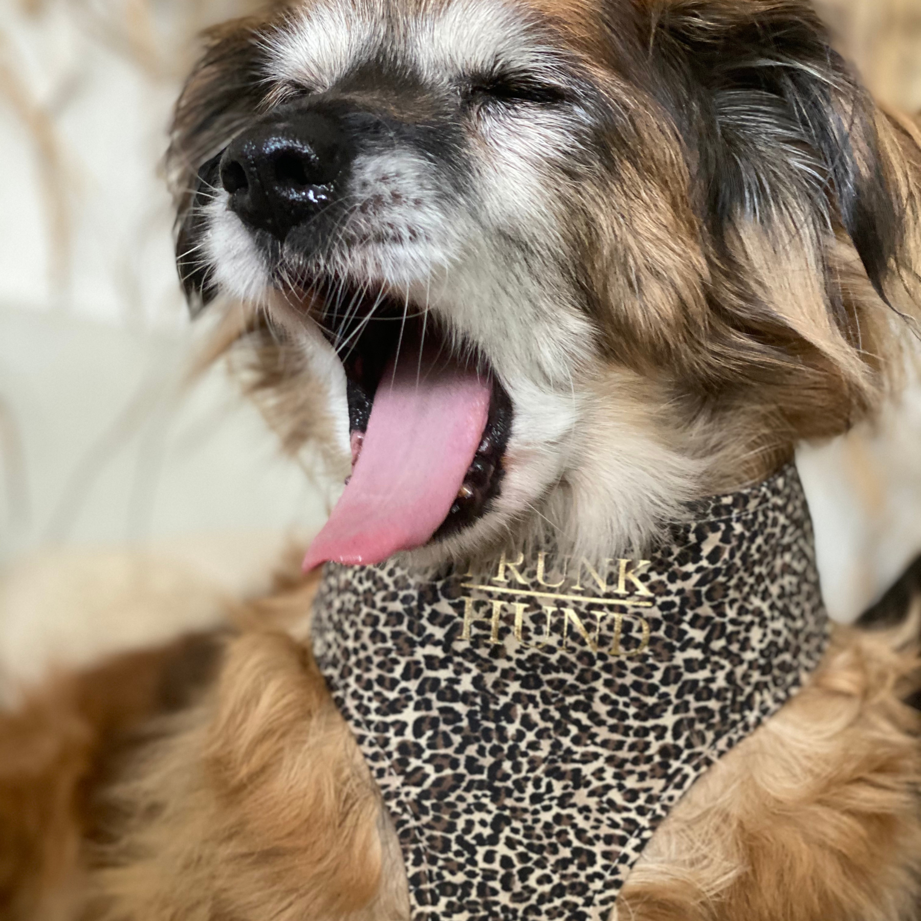 WILD LIFE soft harness