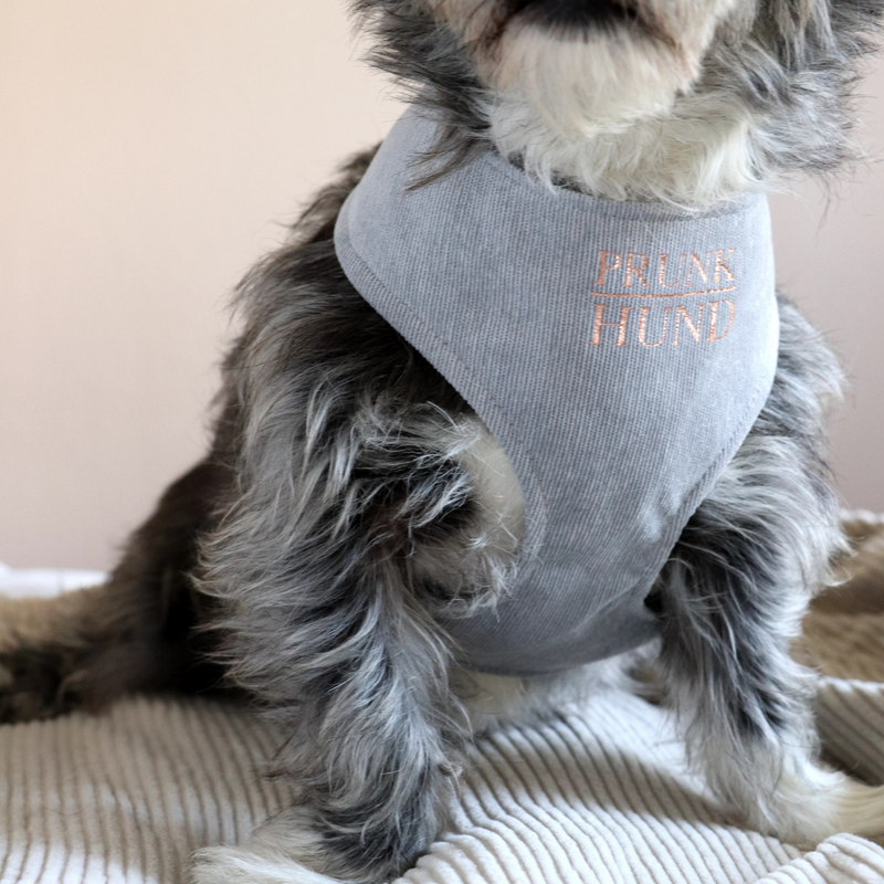 Soft harness DOVE