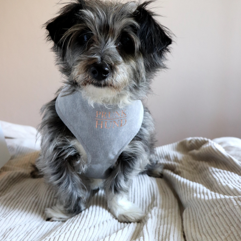 Soft harness DOVE