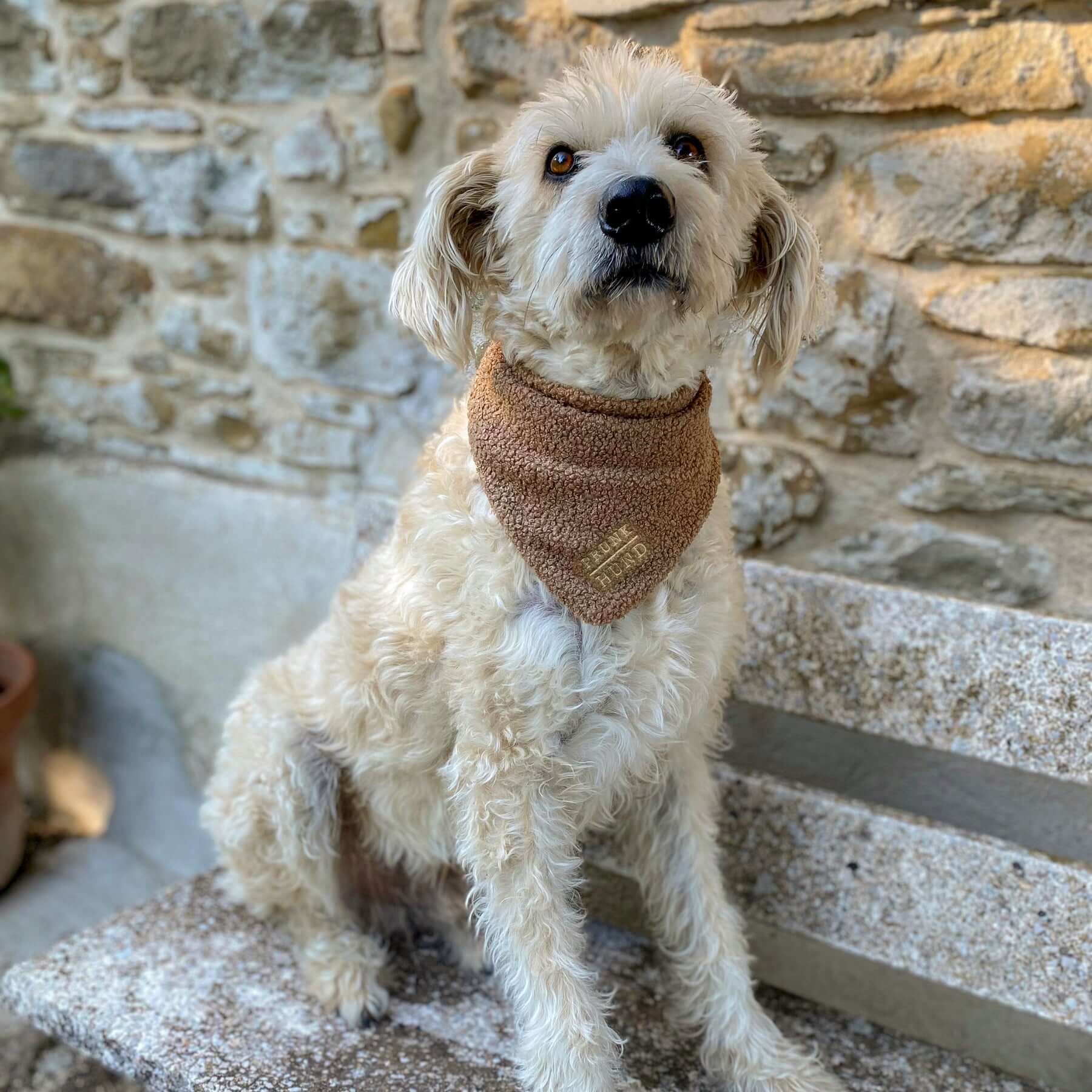 Hundehalstuch TEDDY tan