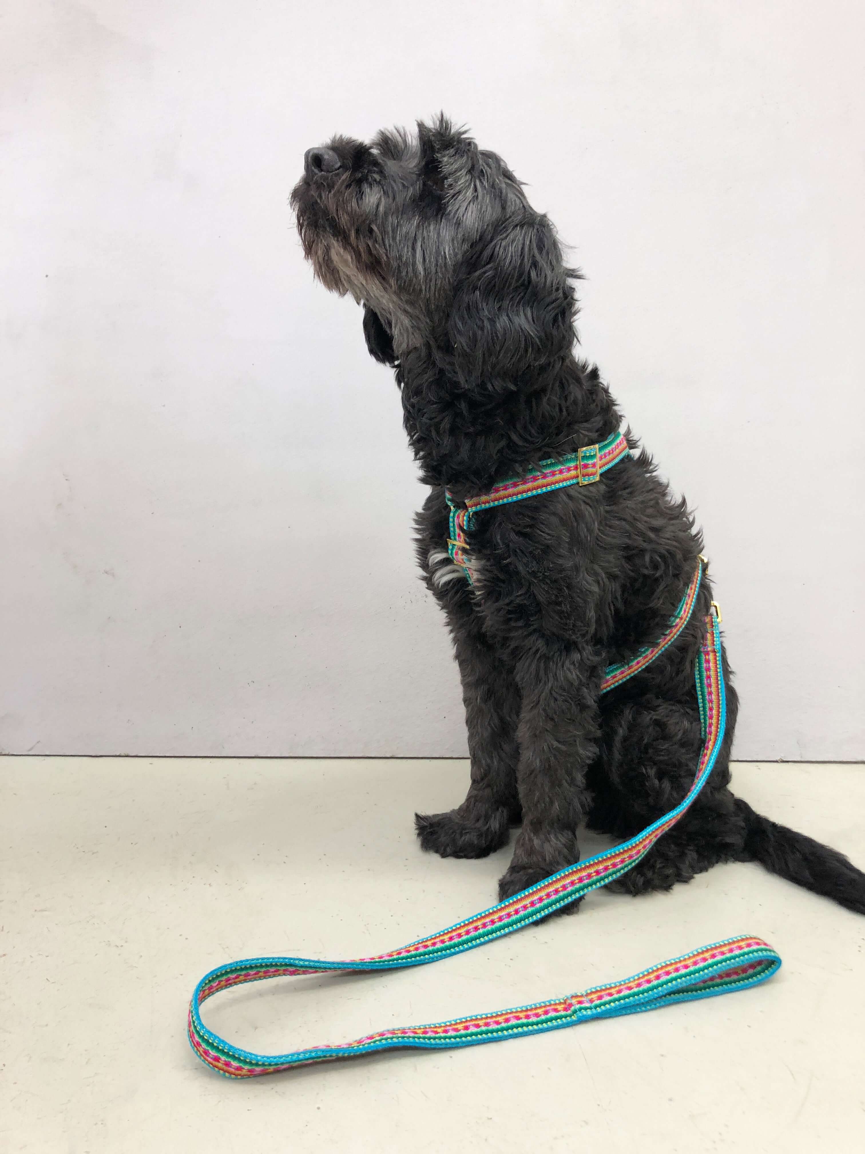 Dog harness IBIZA MINT