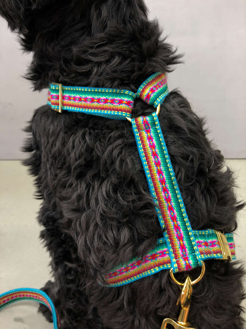 Dog harness IBIZA MINT