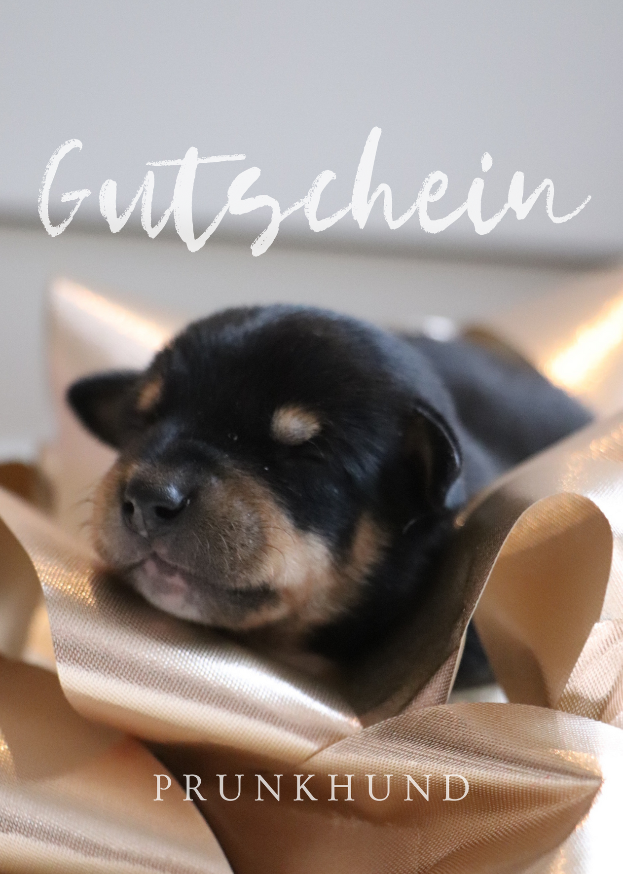 Prunkhund Gift Certificate