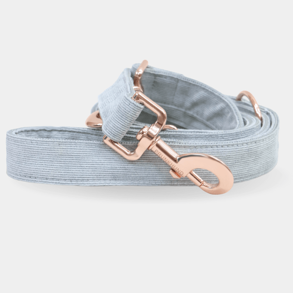 Leash DOVE